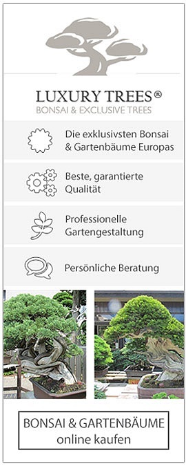 Luxurytrees - Bonsai & Gartenbäume online kaufen